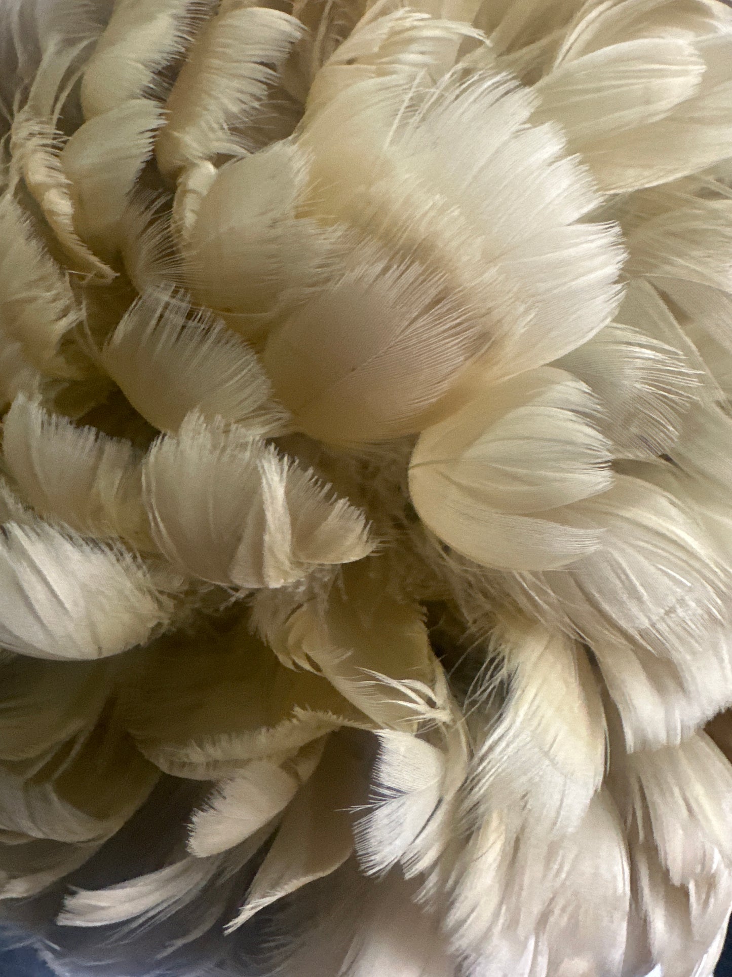 1940s Vintage Feather Wig Hat Cream Feather Theatrical Burlesque Headpiece