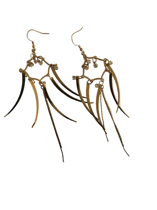 Long Drop Earrings